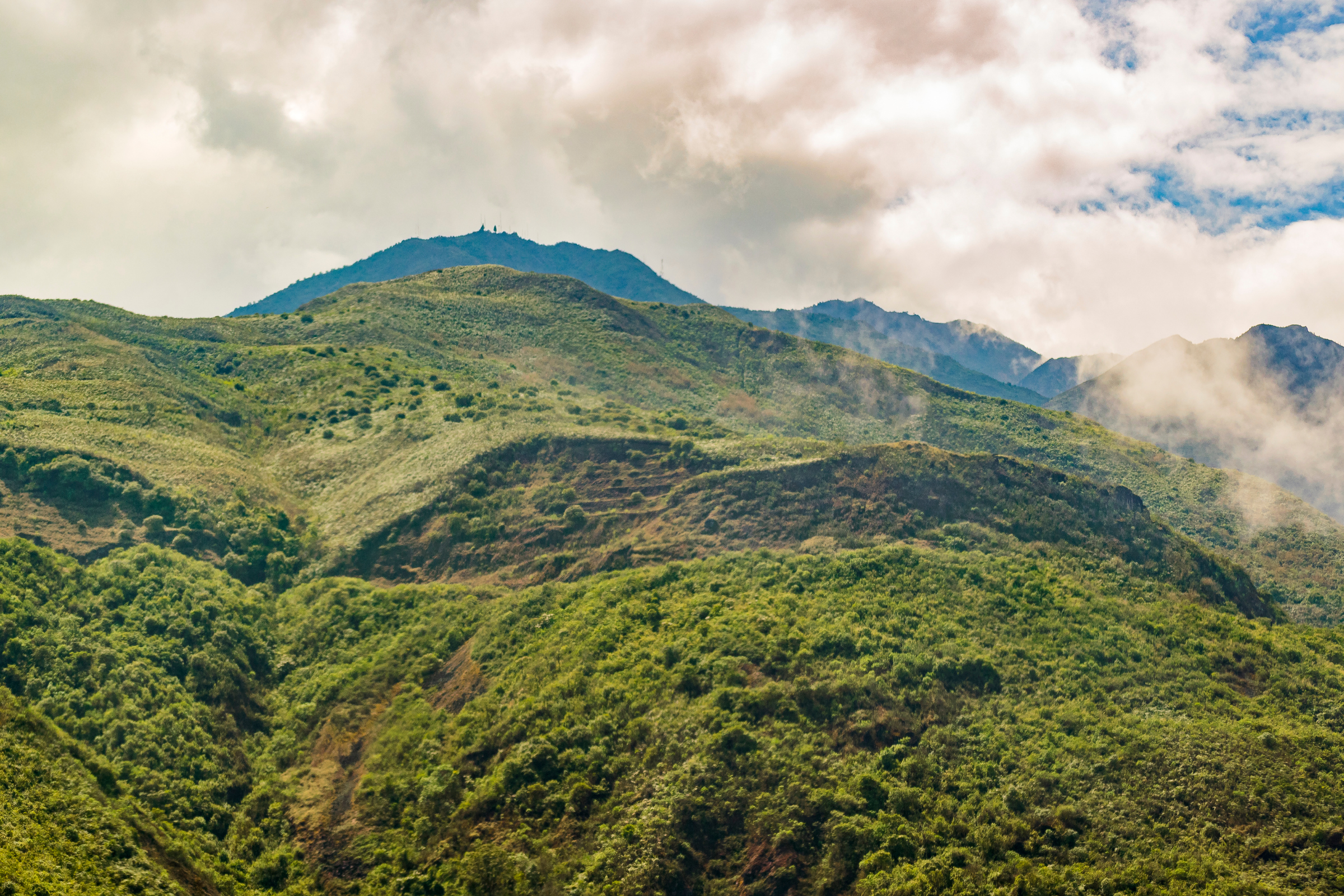 cajas national park (2).webp